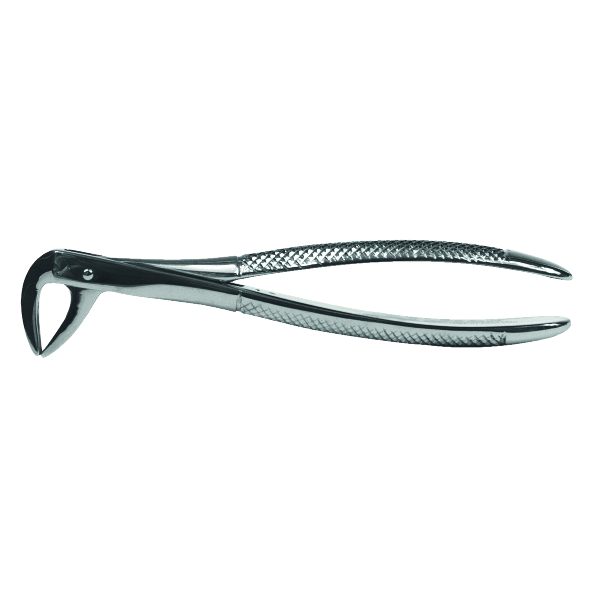 DEHP Forceps Lower Roots 74