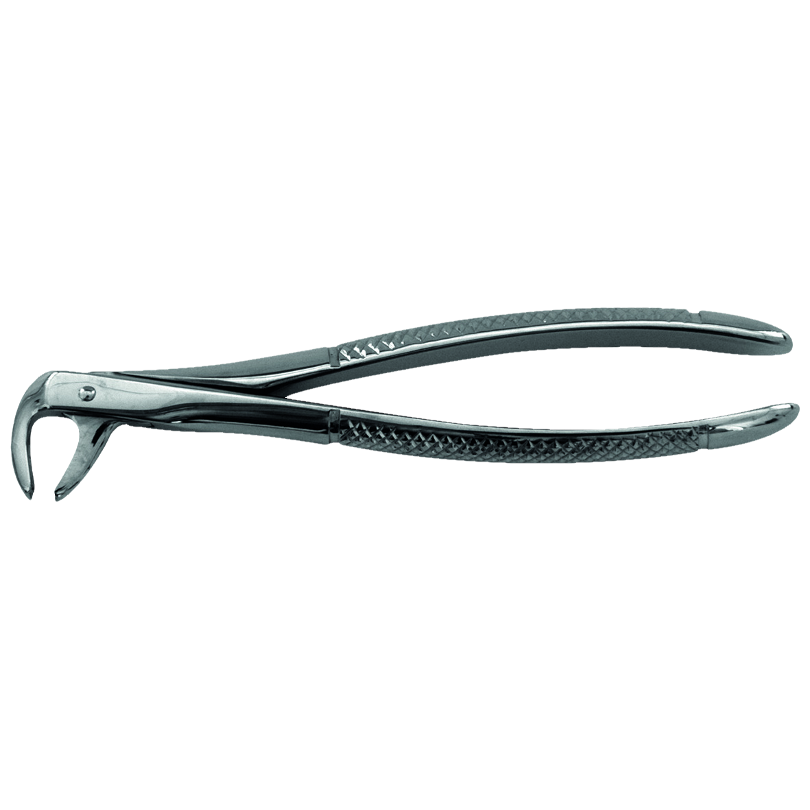 DEHP Forceps Lower Molars 73