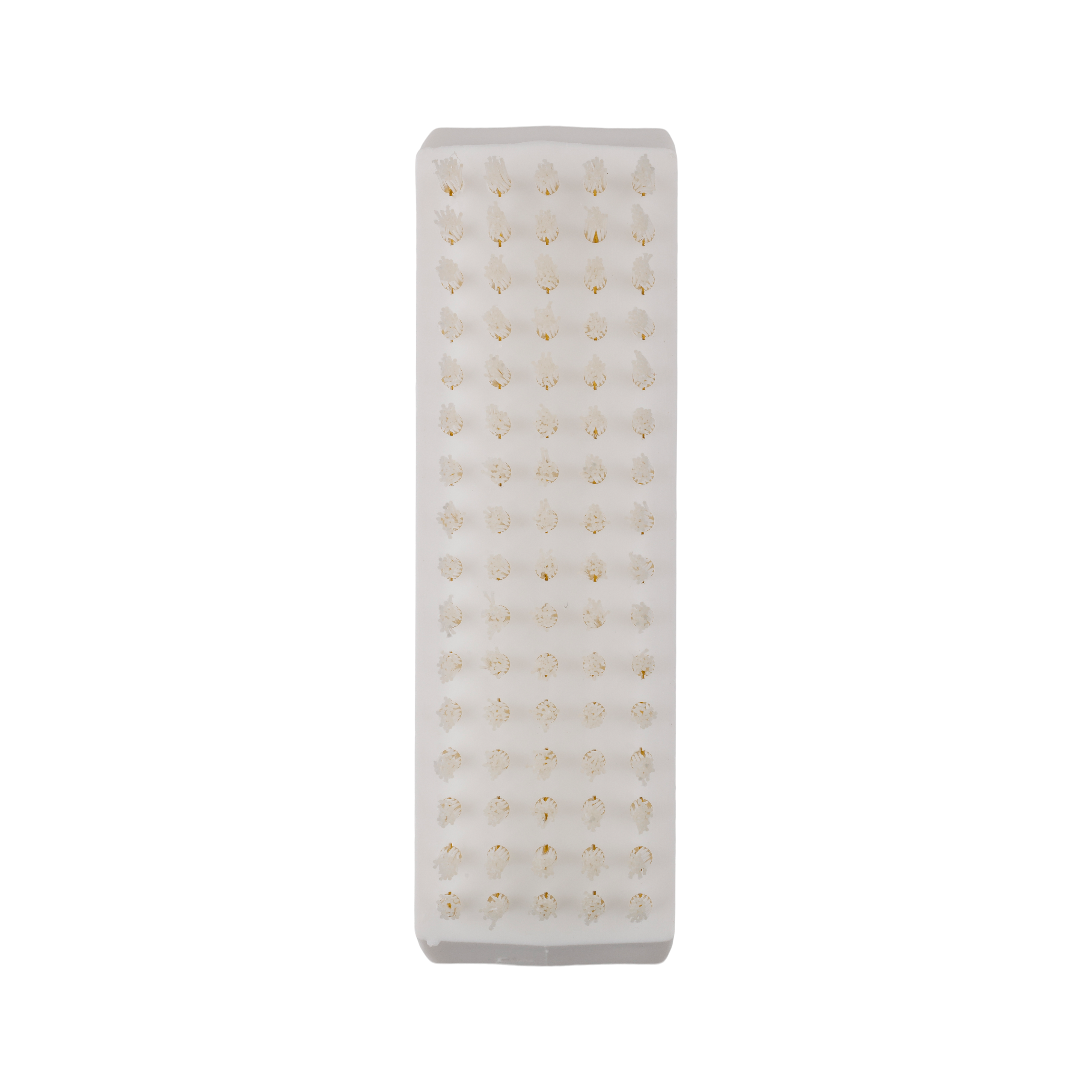 1000797_UK_Top_06_s_-Nail-Brush-Autoclaveable.png