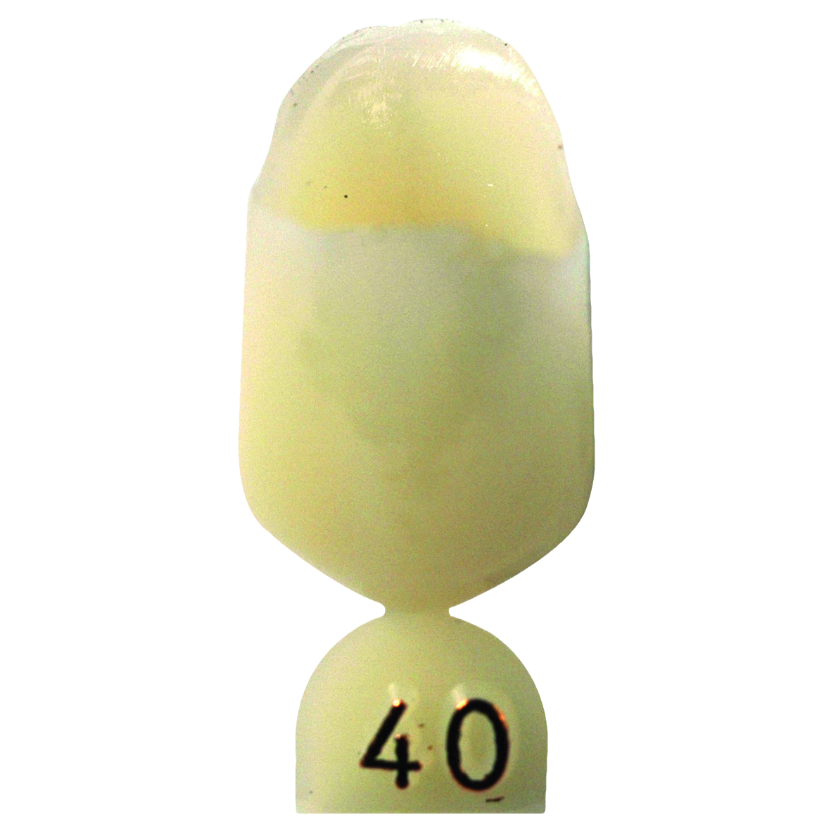 Directa Temp Crown Translucent Rfl No40 5pk