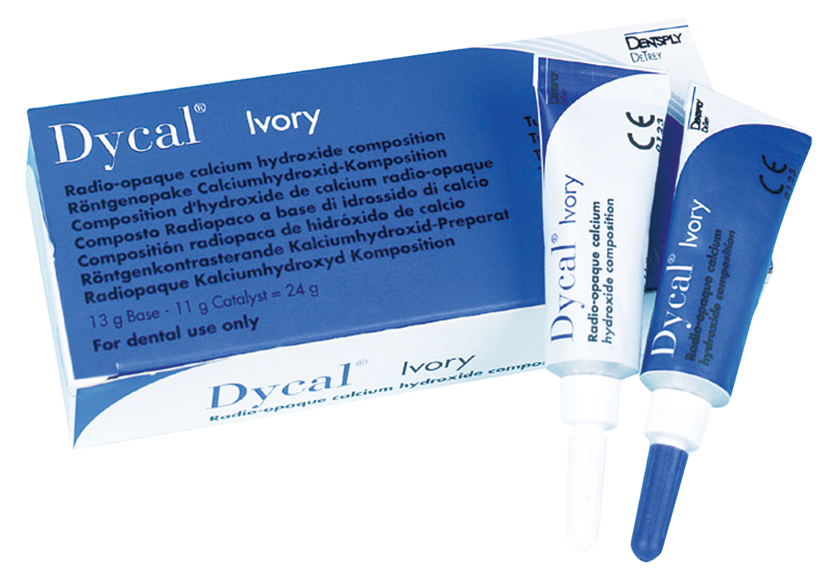 Dycal Ivory Refill Pack