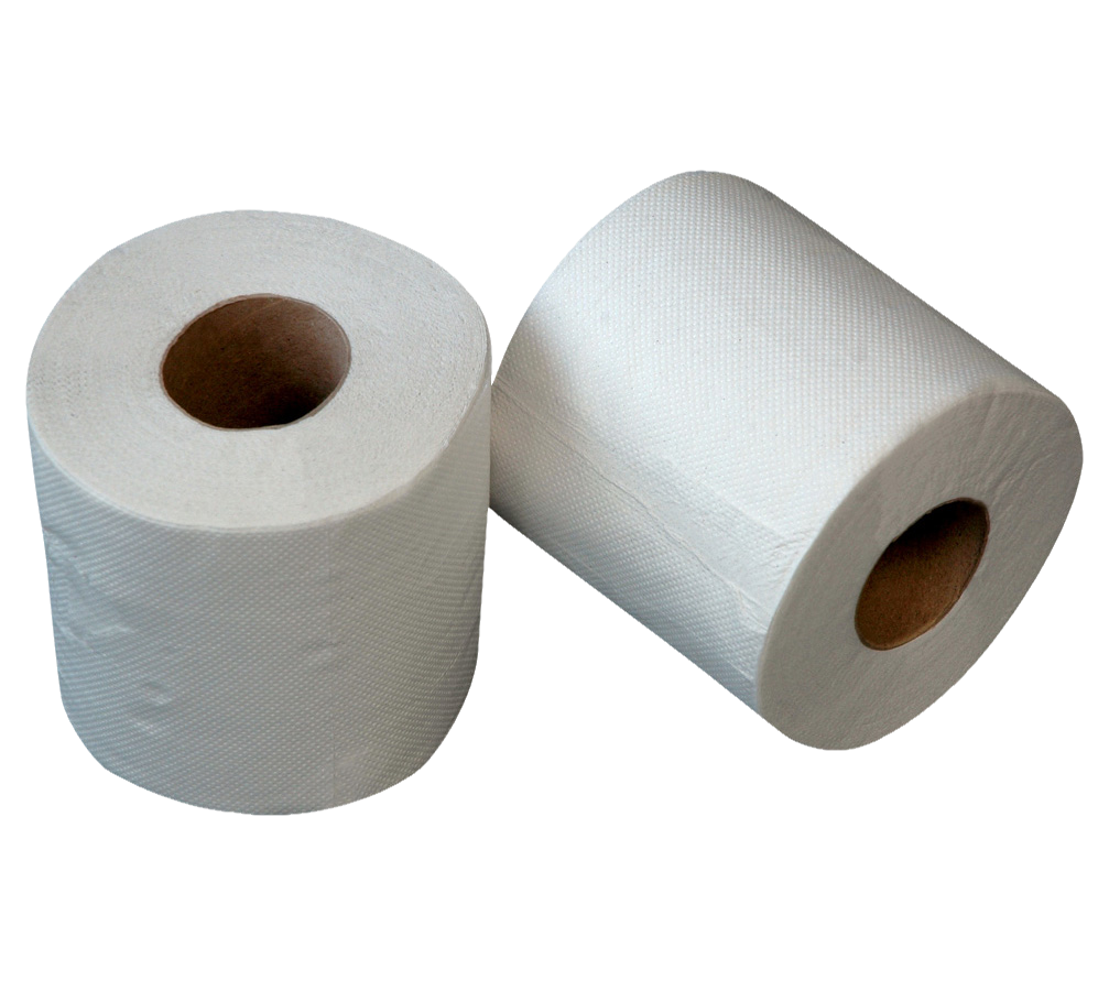 1007486_UK_Front_01_s_-Pristine-Toilet-Tissue-Rolls-2ply-White-36pk.png