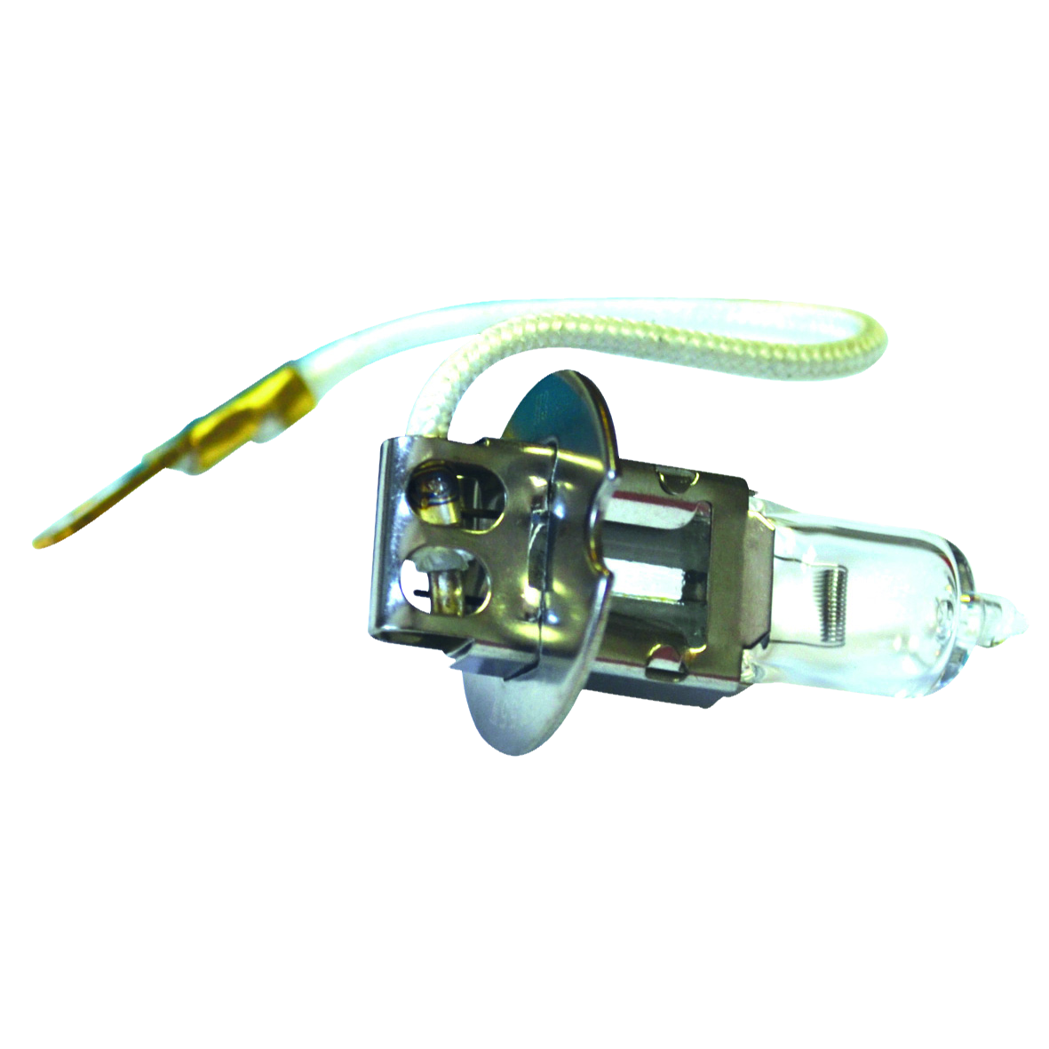 Operating Light Bulb 12V 55W