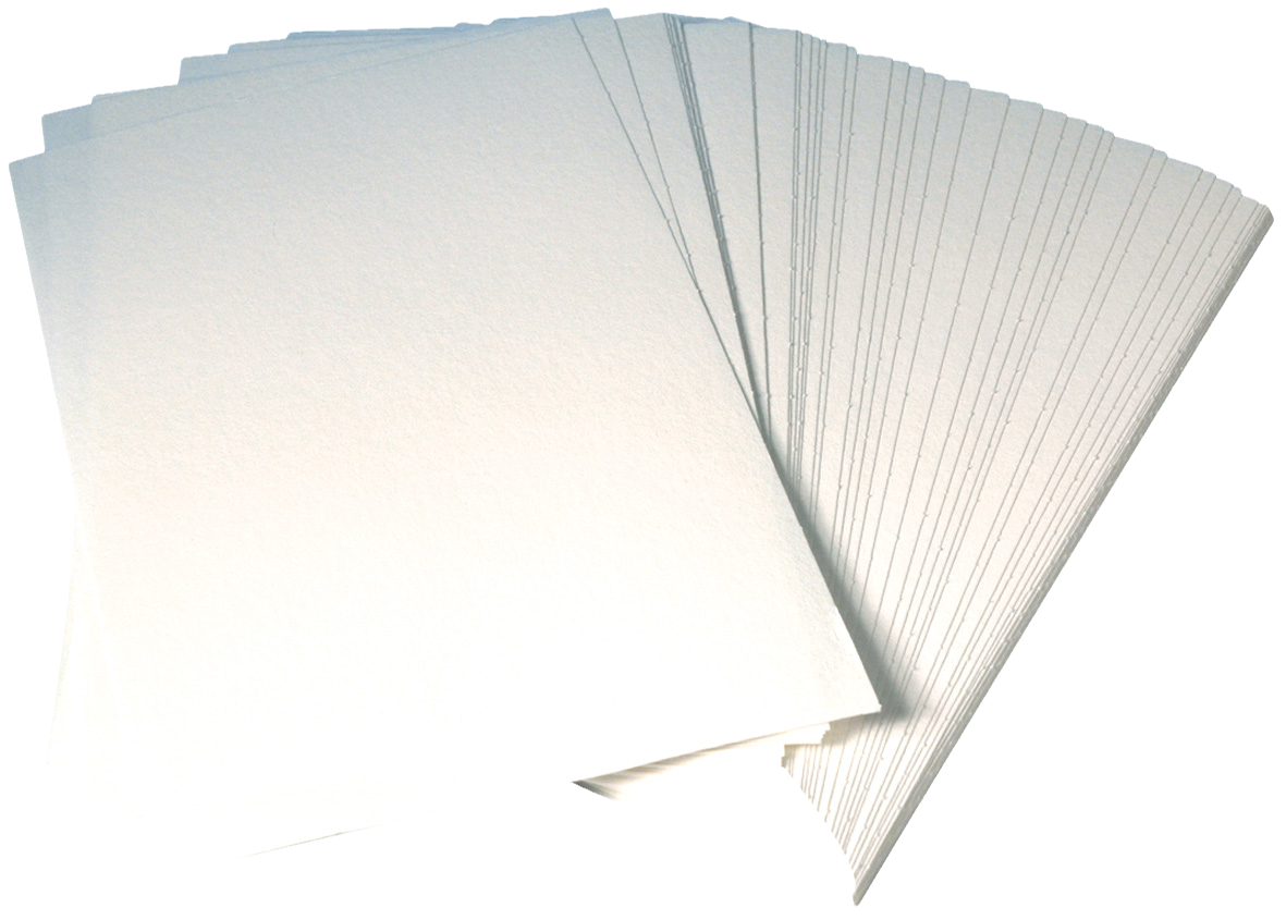 Blackwell Traymasters 28 x 18cm 500pk