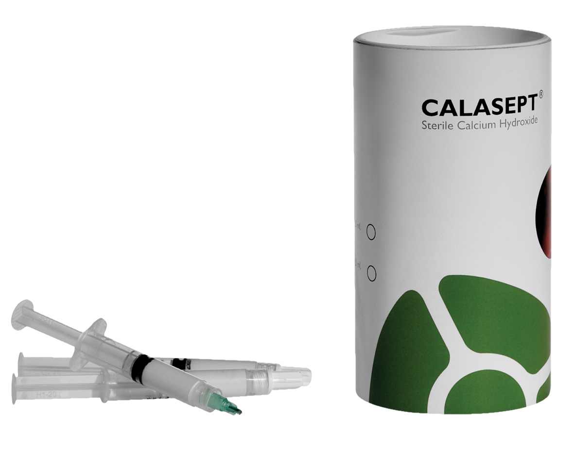 Calasept Needles Luer Lock 100pk