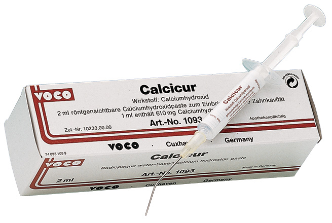 Calcicur Syringe Application Cannulas Type 47 2.5g