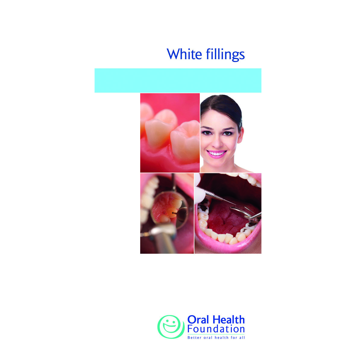 BDHF Leaflets White Fillings 100pk