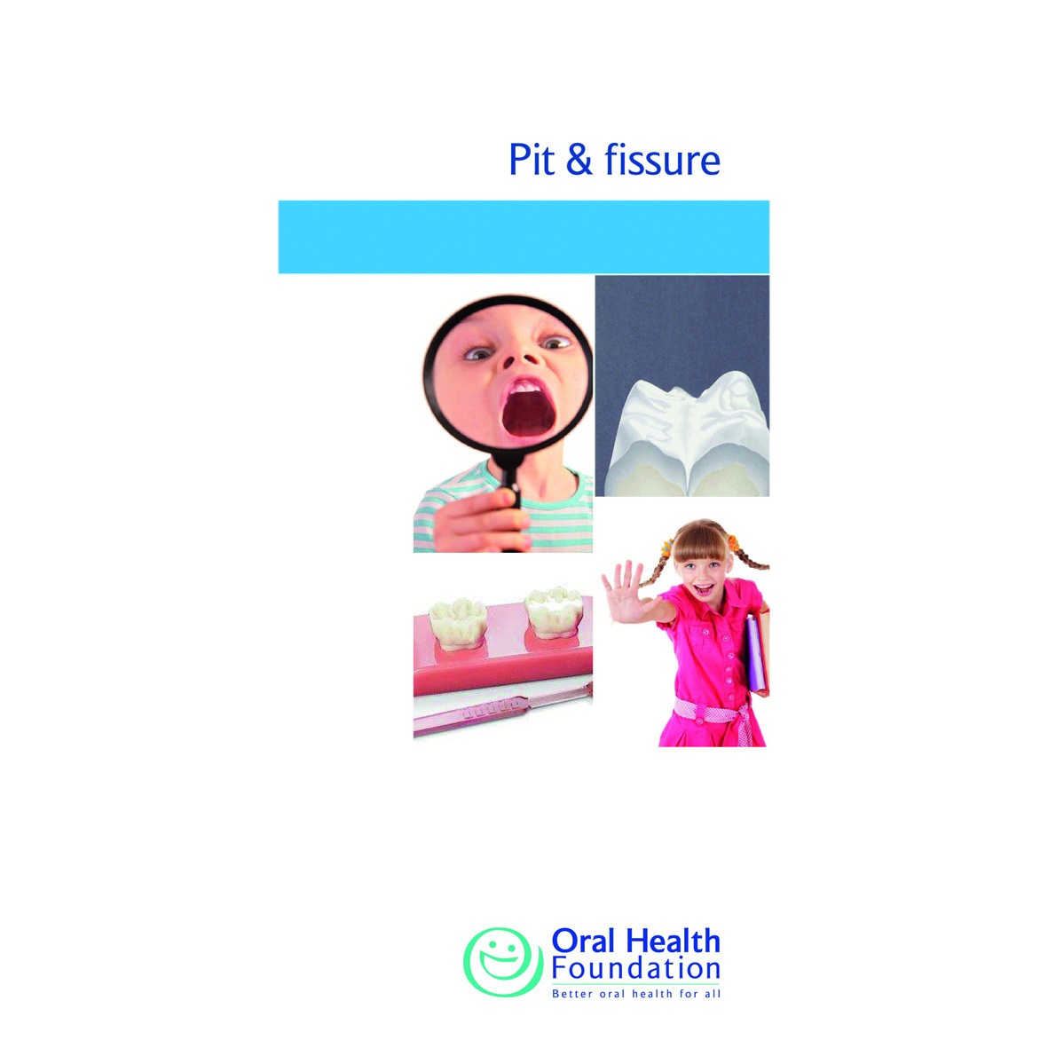 BDHF Leaflets Pit & Fissure Sealants 100pk