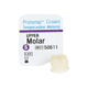1088485_UK_Front_01_s_-Protemp-Crown-Material-Molar-Upper-Small-Kit-5pk.png