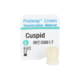 1088491_UK_Front_01_s_-Protemp-Crown-Material-Cuspid-Large-Kit-5pk.png