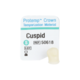 1088492_UK_Front_01_s_-Protemp-Crown-Material-Cuspid-Small-Kit-5pk.png