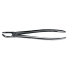 Cyber Forceps 79 Lower Wisdom Teeth