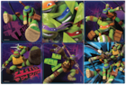 Stickers Teenage Mutant Ninja Turtles 100pk