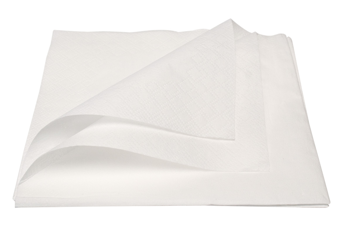 Cyber Patient Napkin 2-ply White 40 x 40cm 50pk