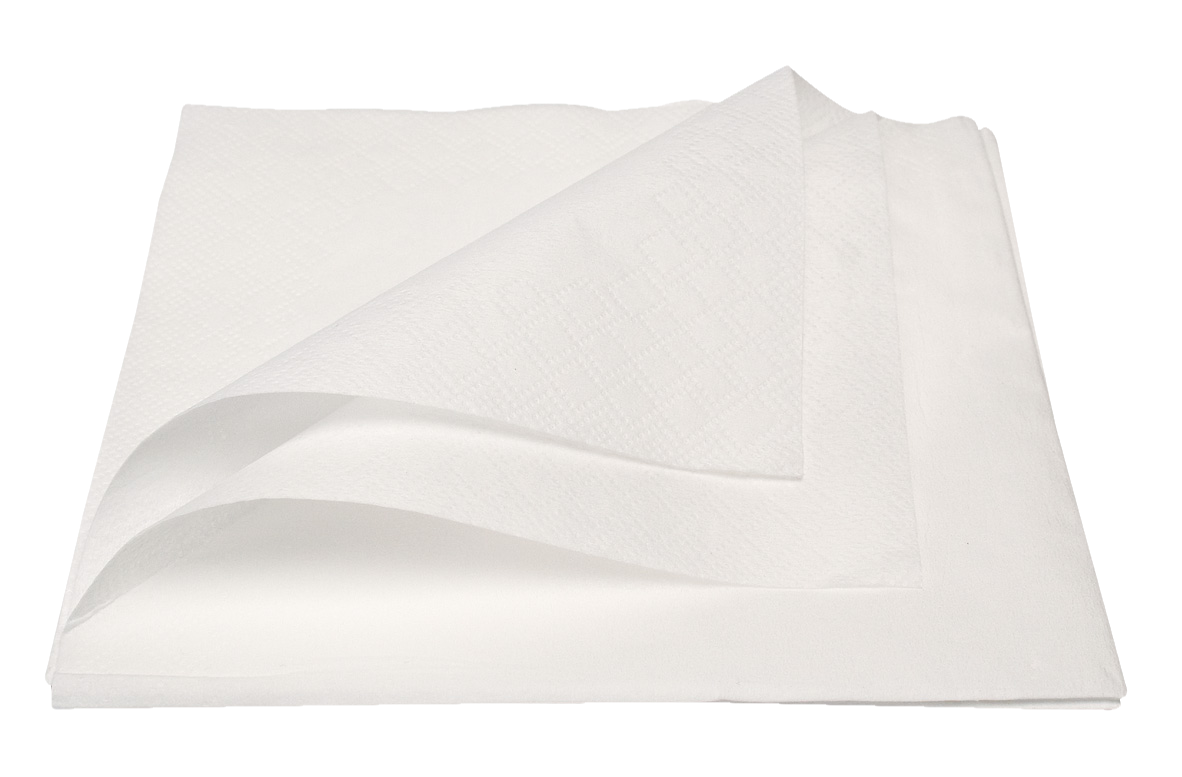 Cyber Patient Napkin 2-ply White 40 x 40cm 50pk