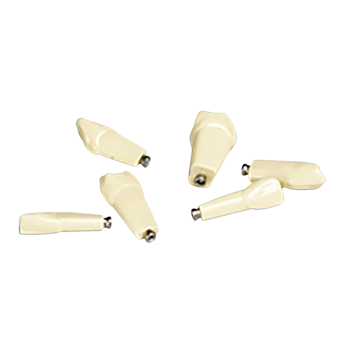 Individual Deciduous Model Tooth No.83