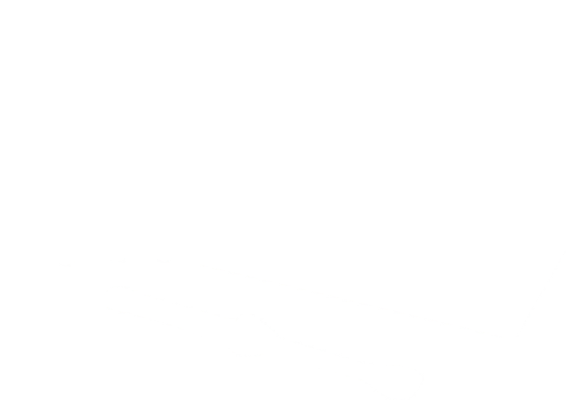 Essentia Modifier Kit