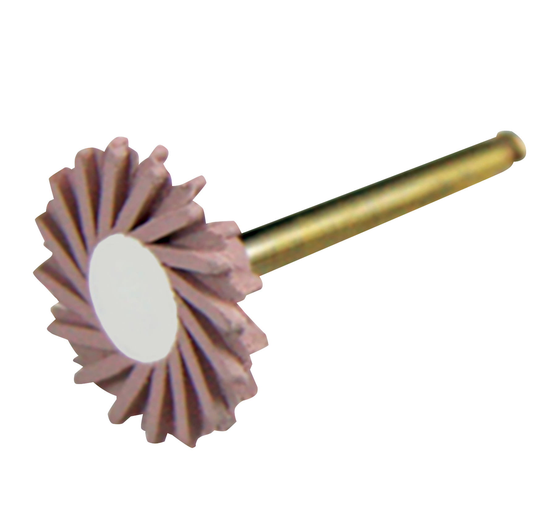 ASAP Indirect+ Final Polisher Intraoral Refill 3pk