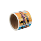 Stickers Zootopia 2 100pk
