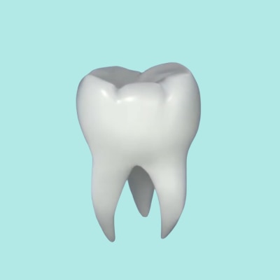 How Can TCD Matrix Enhance Your Restorations