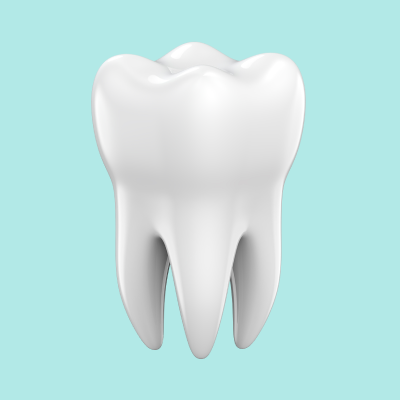 What is Endodontics