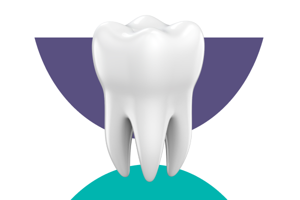 What Is Endodontics?